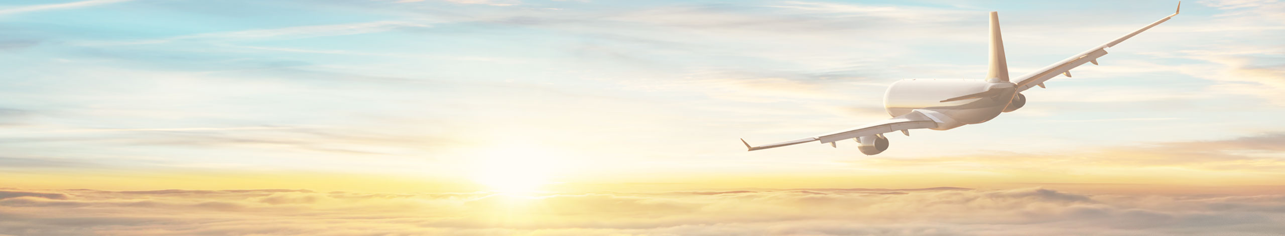 STW-エス・ティー・ワールド banner